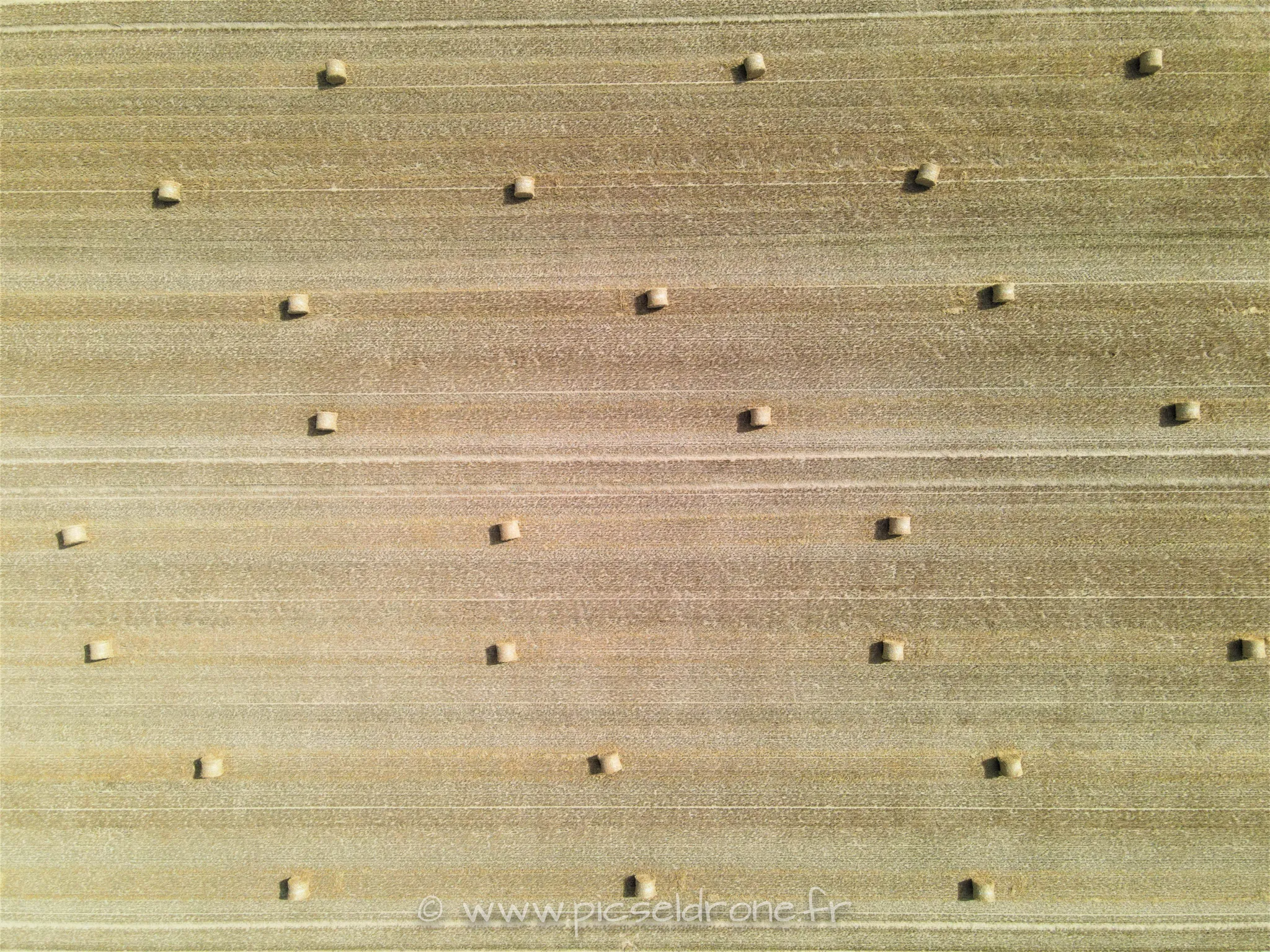 Prise de vue aérienne, photo aérienne, champs de blé moissonné, bottes de paille, télépilote drone, pilote drone, PICSEL DRONE, CAEN