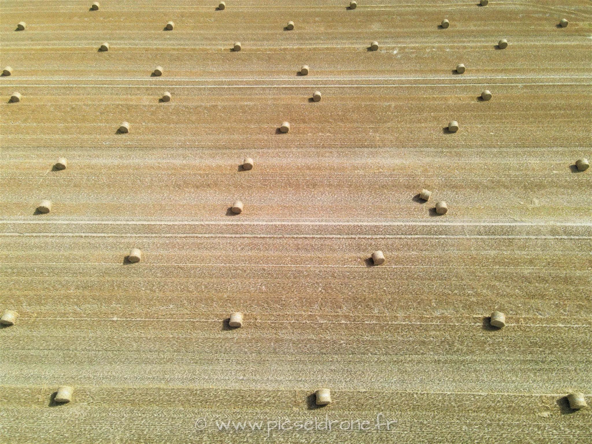 Prise de vue aérienne, photo aérienne, champs de blé moissonné, botte de paille, télépilote drone, pilote drone, PICSEL DRONE, CAEN