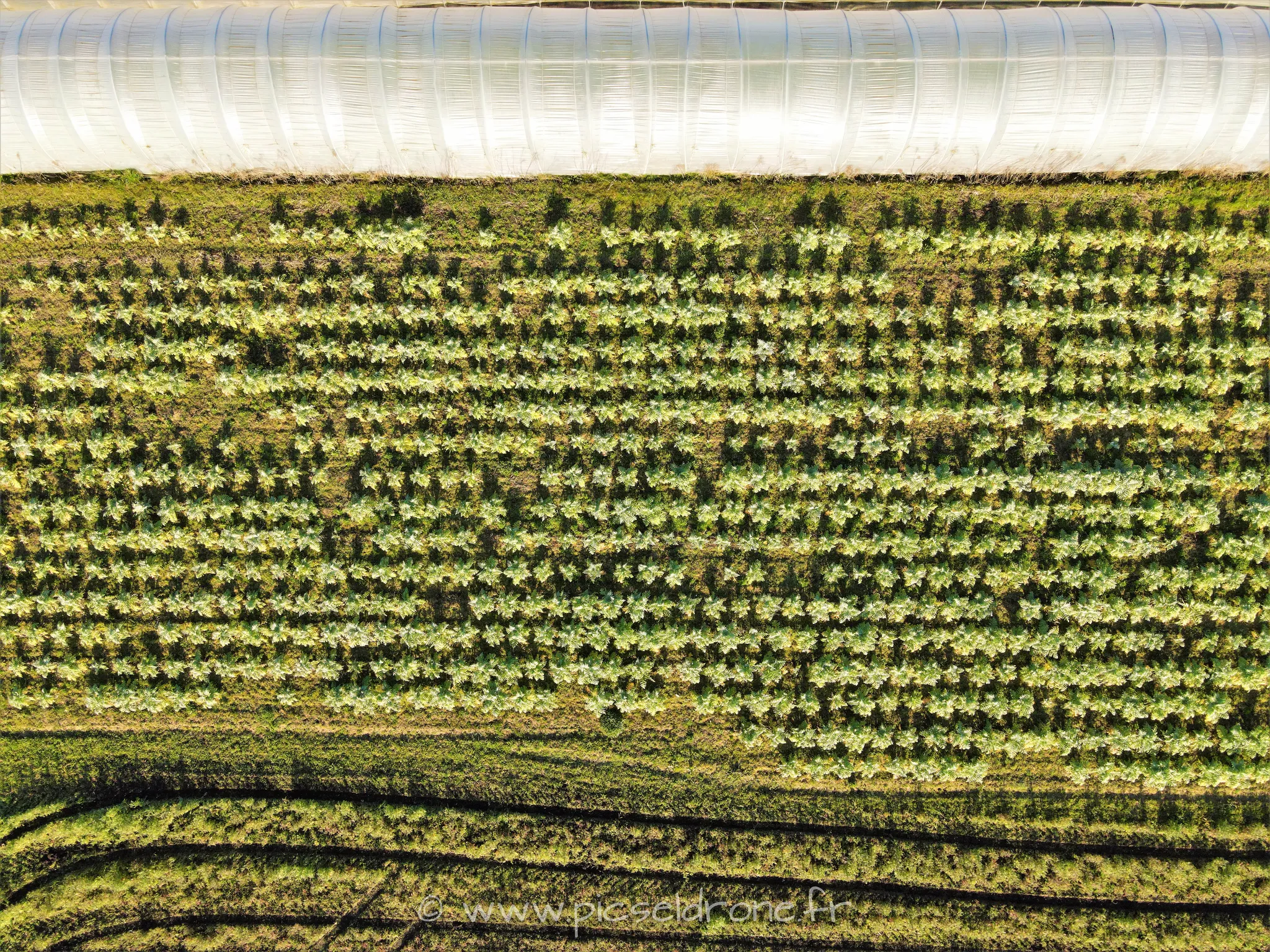 Prise de vue aérienne, photo aérienne de la cueillette du Grand Parc, télépilote drone, pilote drone, PICSEL DRONE, CAEN
