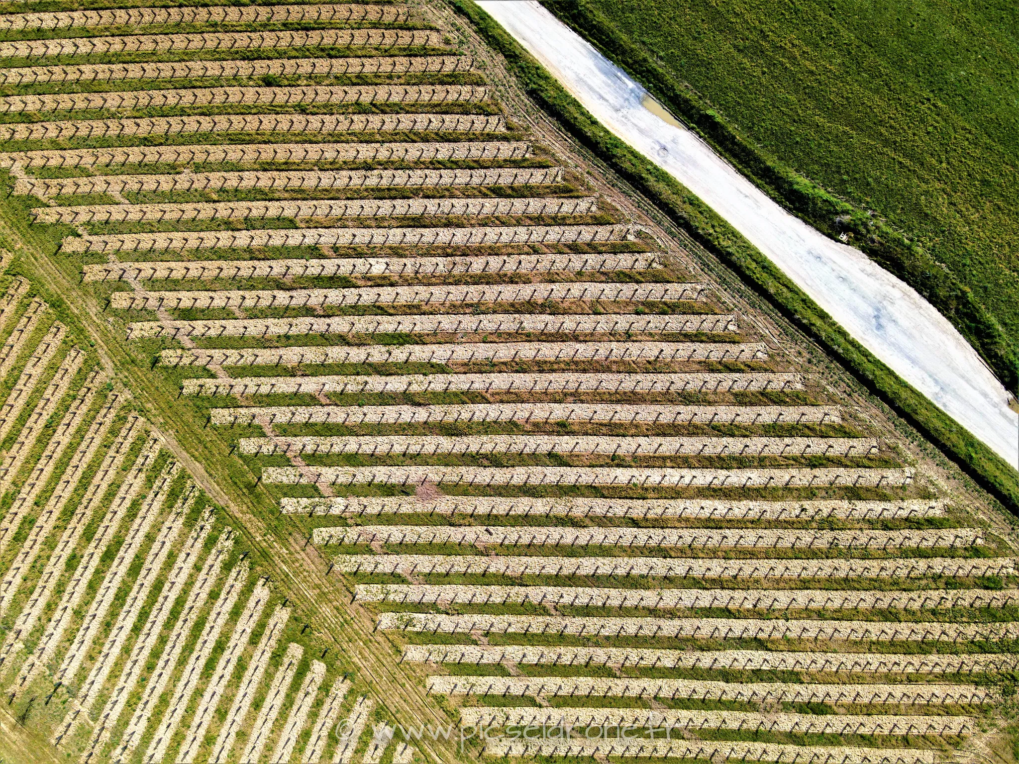 Prise de vues aérienne, photo aérienne d'une plantation d'arbustes, Ecoquartier de Verson, télépilote drone, pilote drone, PICSEL DRONE, CAEN