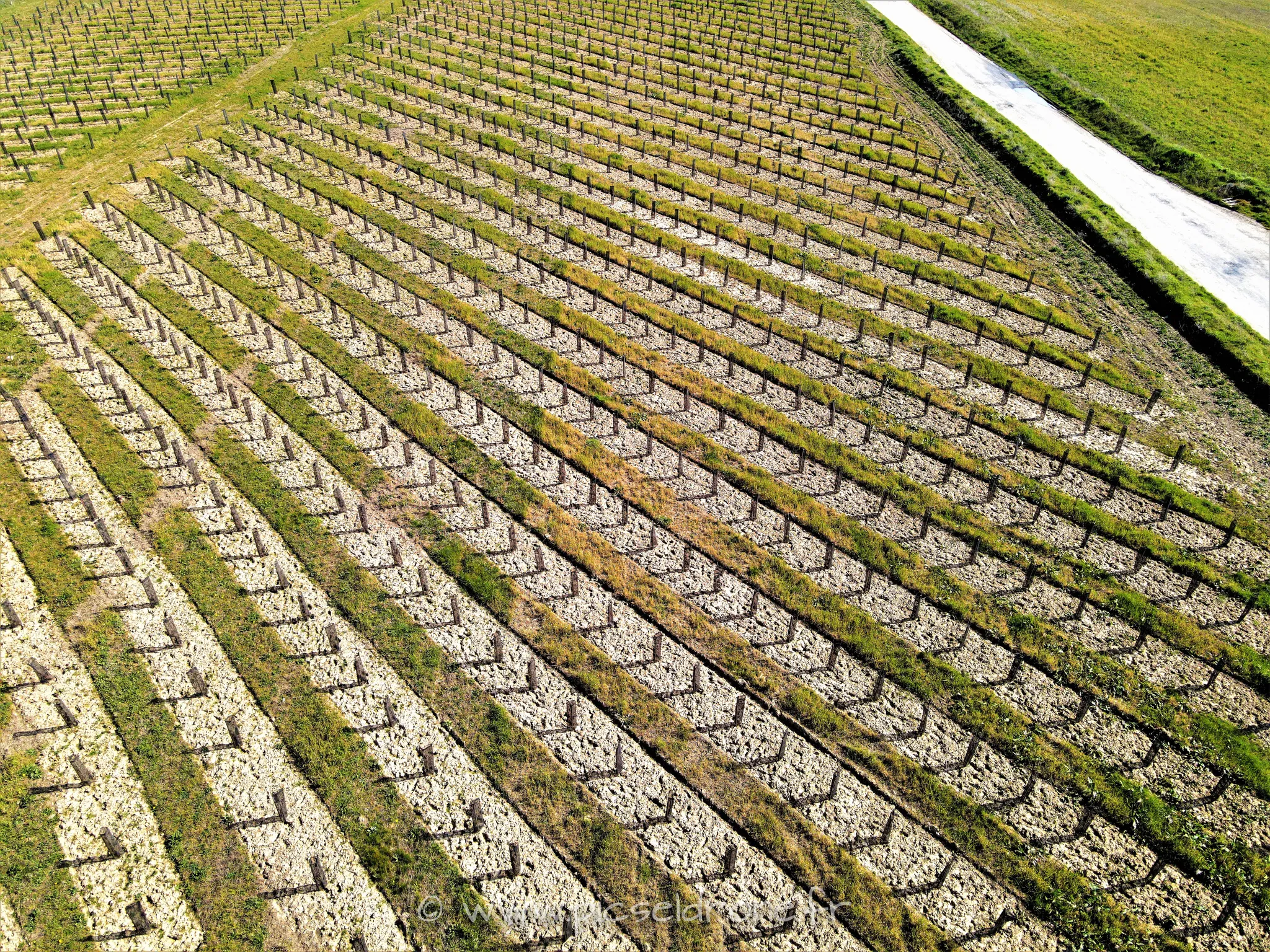 Prise de vues aérienne, photo aérienne d'une plantation d'arbustes, Ecoquartier de Verson, télépilote drone, pilote drone, PICSEL DRONE, CAEN