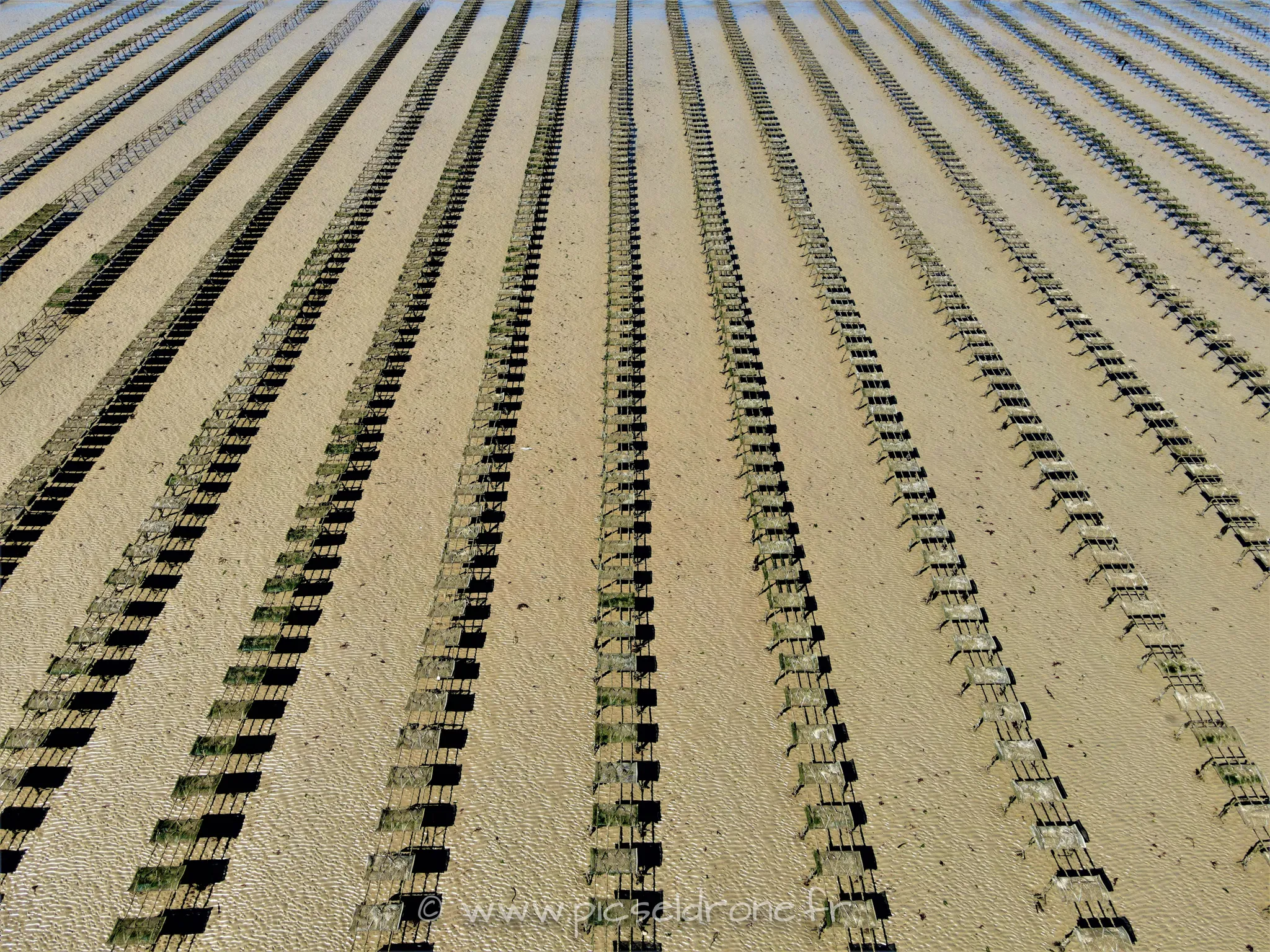 Prise de vue aérienne, photo aérienne de parc à huîtres, ASNELLES, télépilote drone, pilote drone, PICSEL DRONE, CAEN